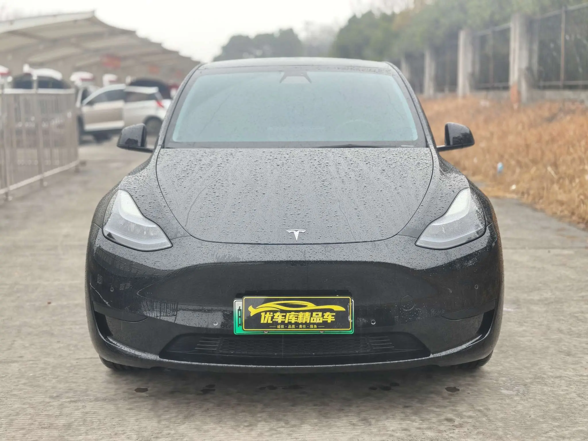 Tesla Model Y  из Китая