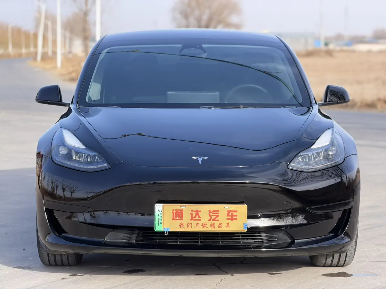 Tesla Model 3  из Китая