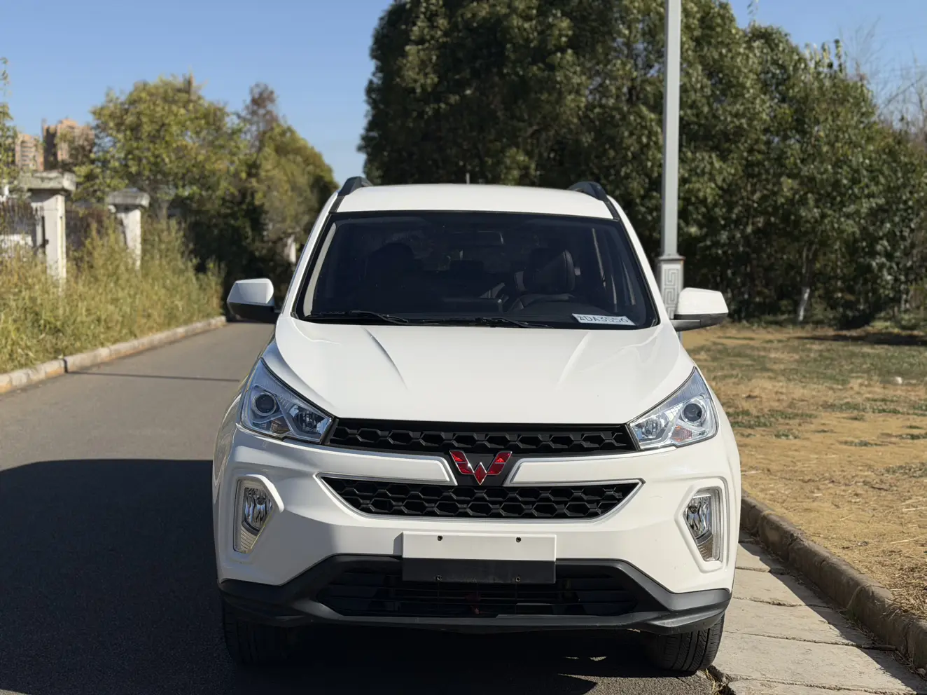 Wuling Hongguang S3  из Китая