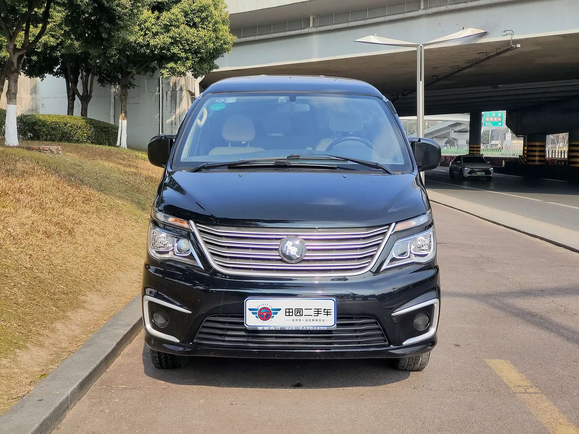 Forthing Lingzhi  из Китая