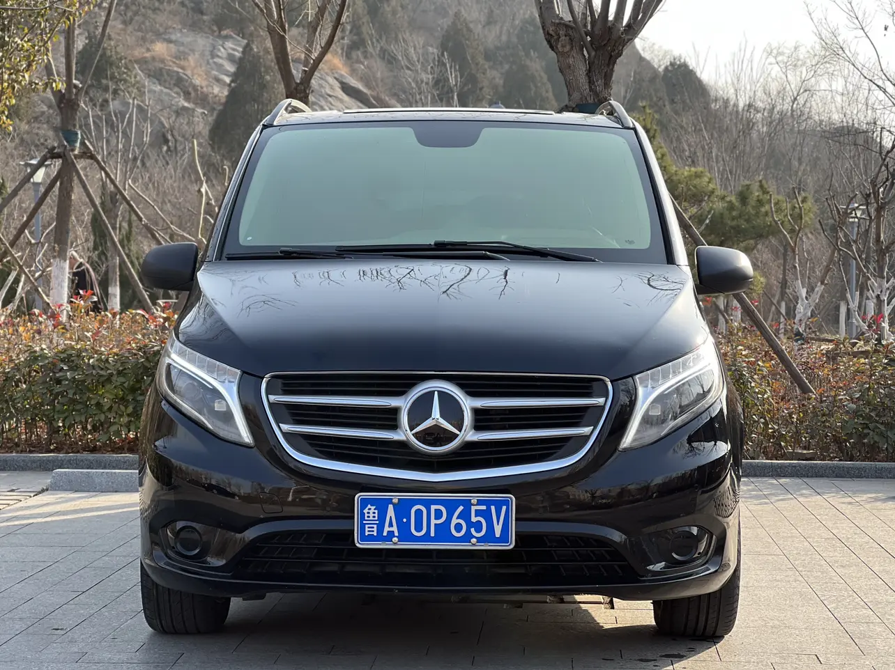 Mercedes-Benz Vito  из Китая