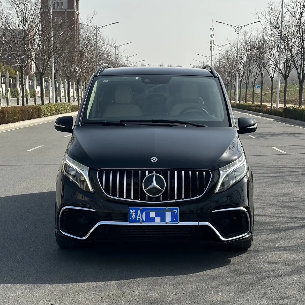 Mercedes-Benz Mercedes Benz V Class  из Китая