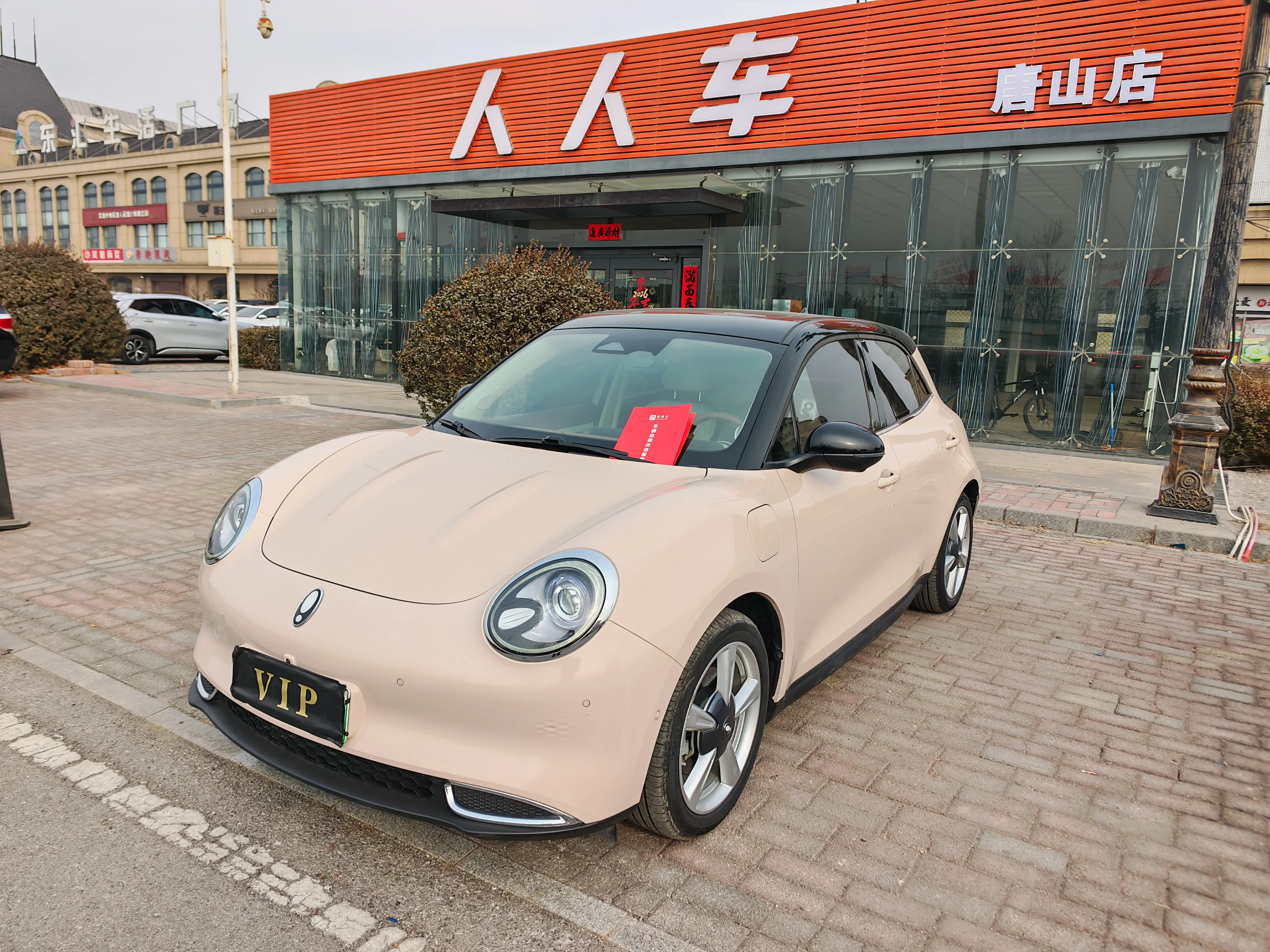 ORA Euler good cat  из Китая