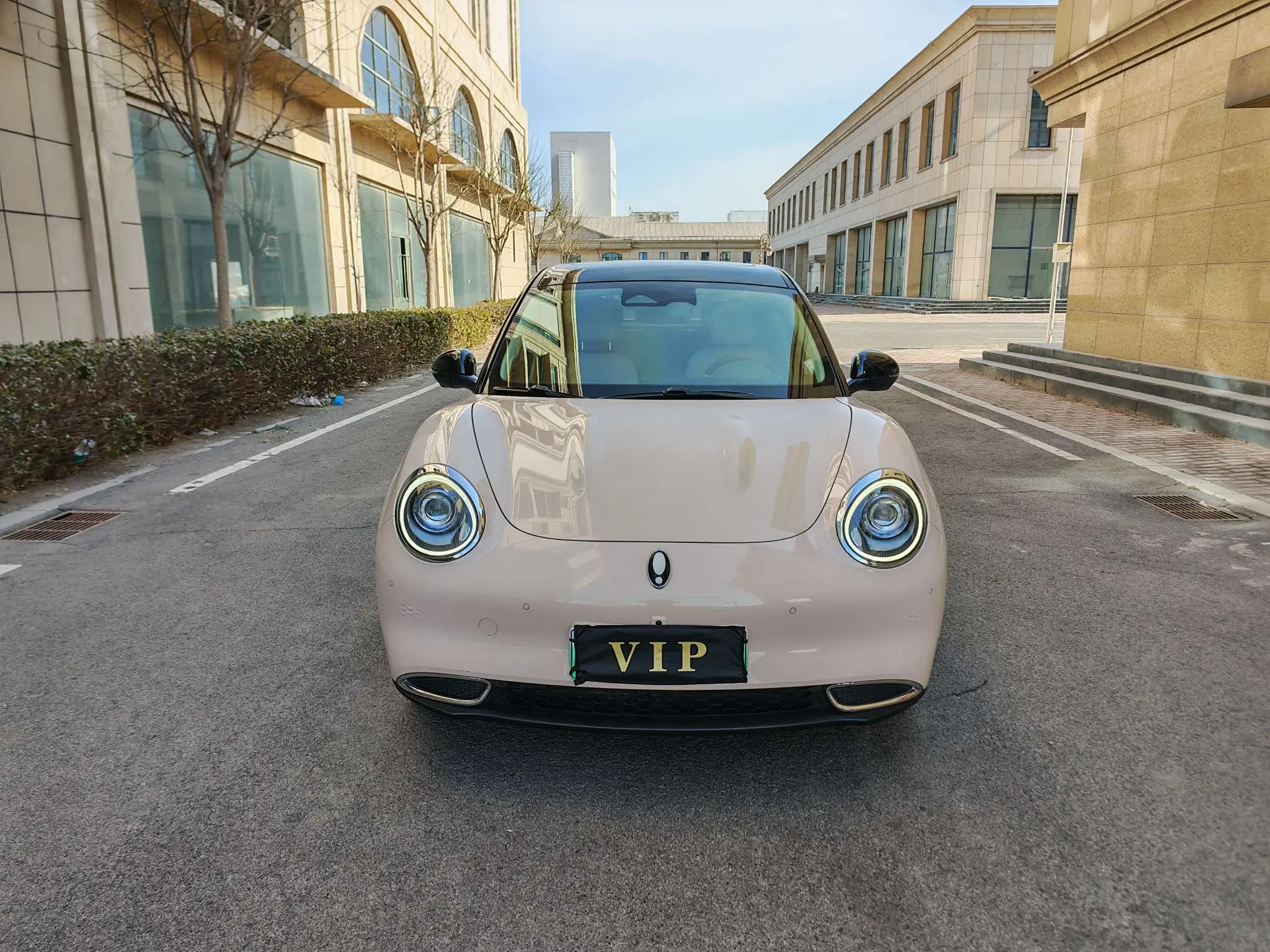 ORA Euler good cat  из Китая