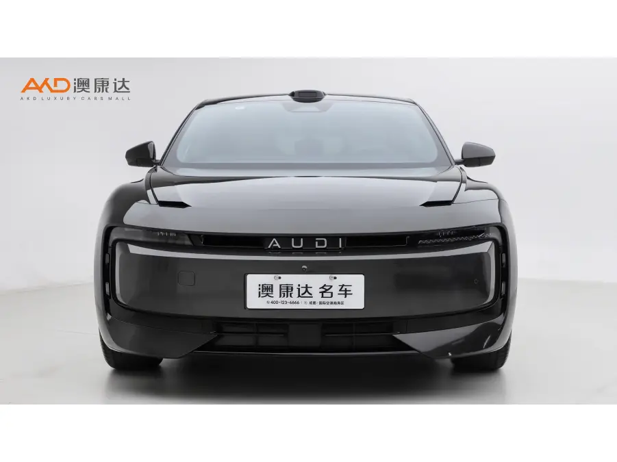 AUDI Audi E5 Sportback  из Китая