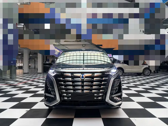 Denza D9 DM  из Китая