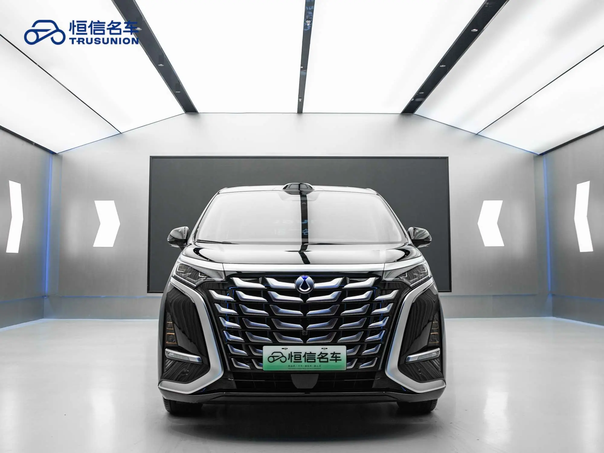 Denza D9 DM  из Китая