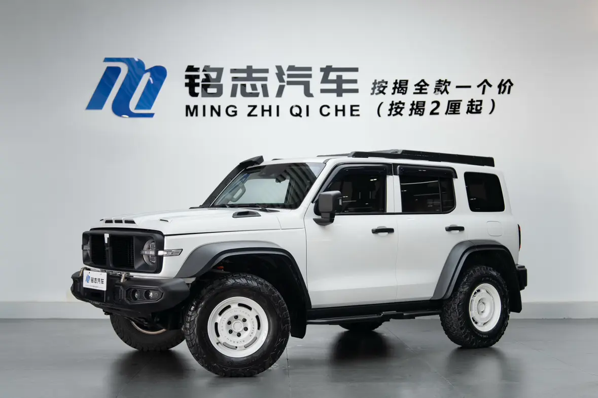 Tank 300  из Китая