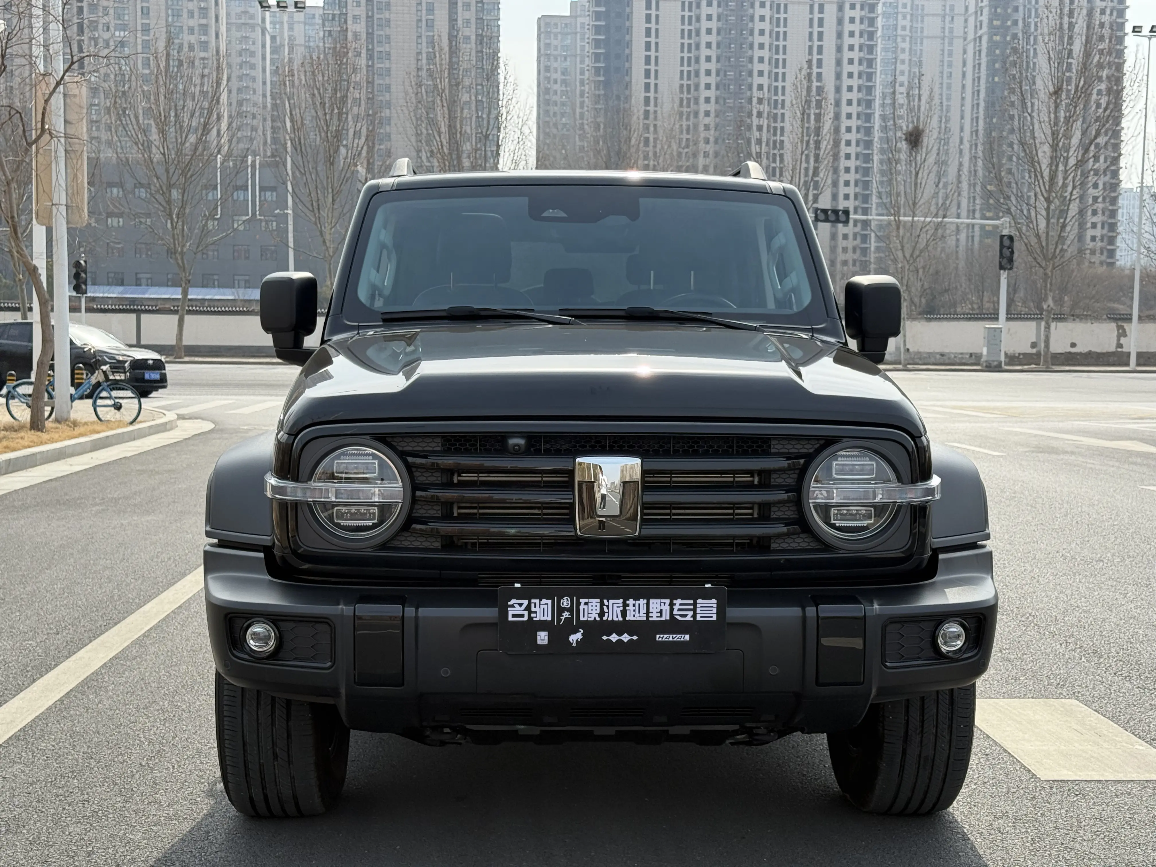 Tank 300  из Китая