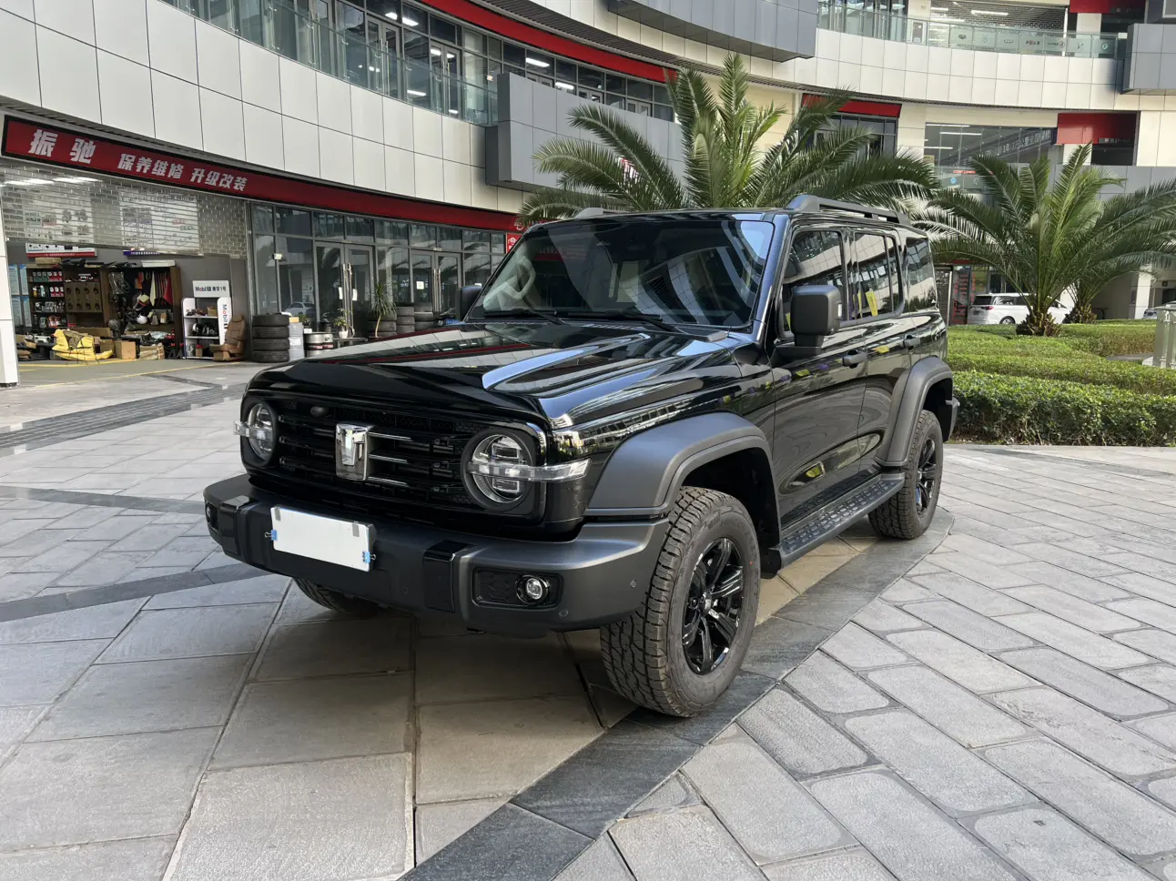 Tank 300  из Китая