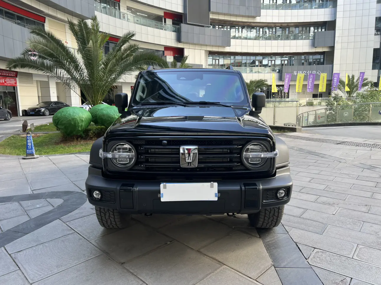 Tank 300  из Китая