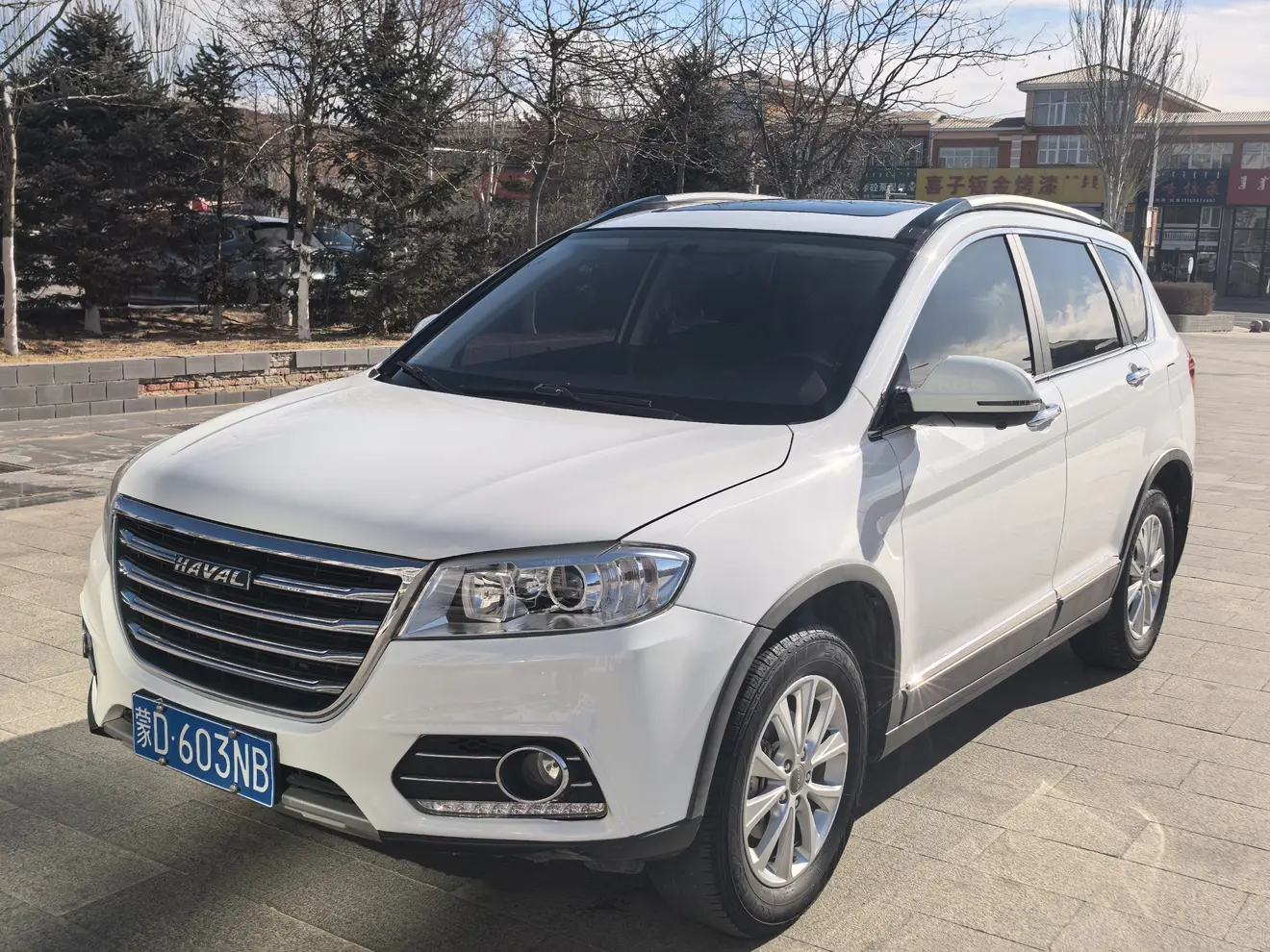 Haval H6
