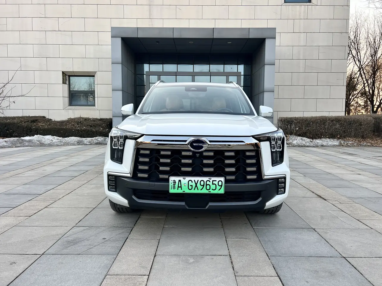 GAC Trumpchi ES9 PHEV  из Китая