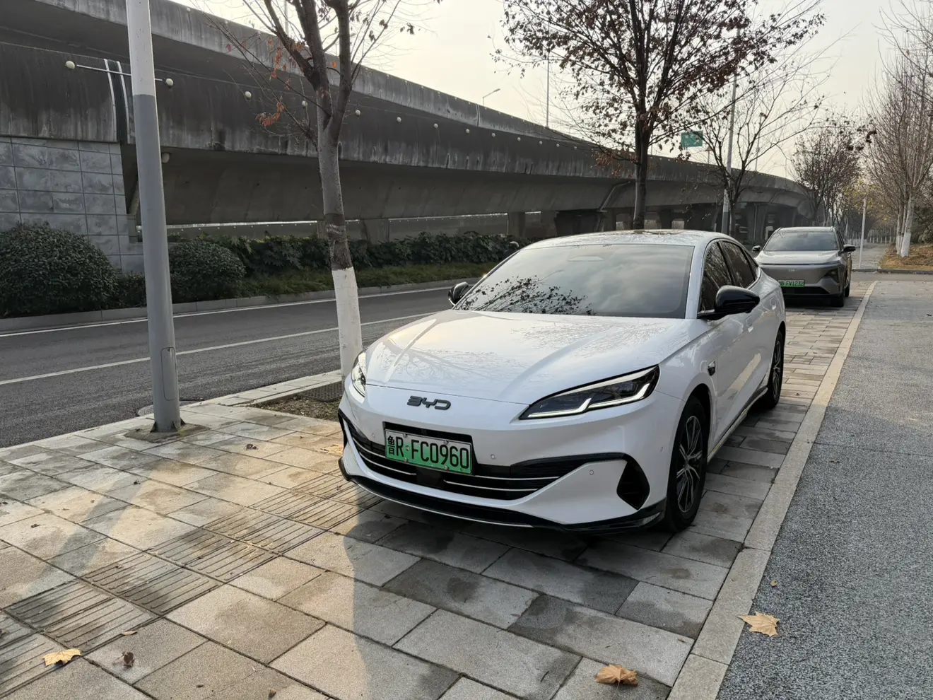 BYD Seal 06DM
