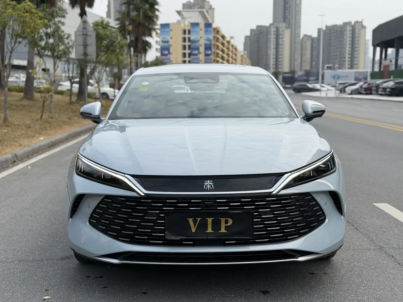 BYD Qin L DM