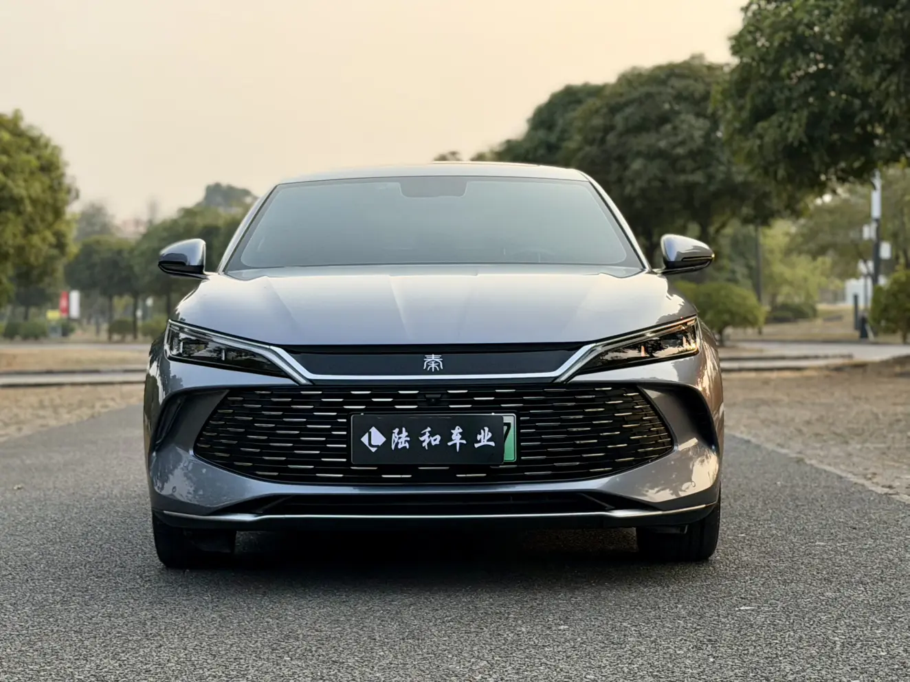 BYD Qin L DM