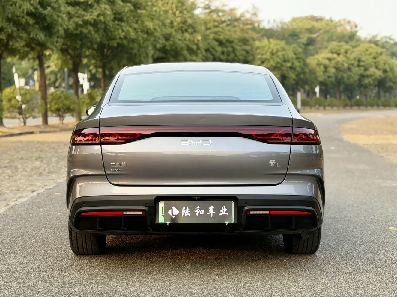 BYD Qin L DM