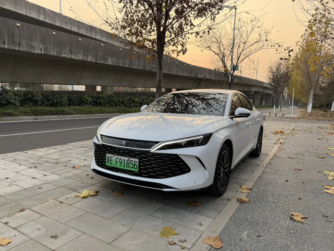 BYD Qin L DM