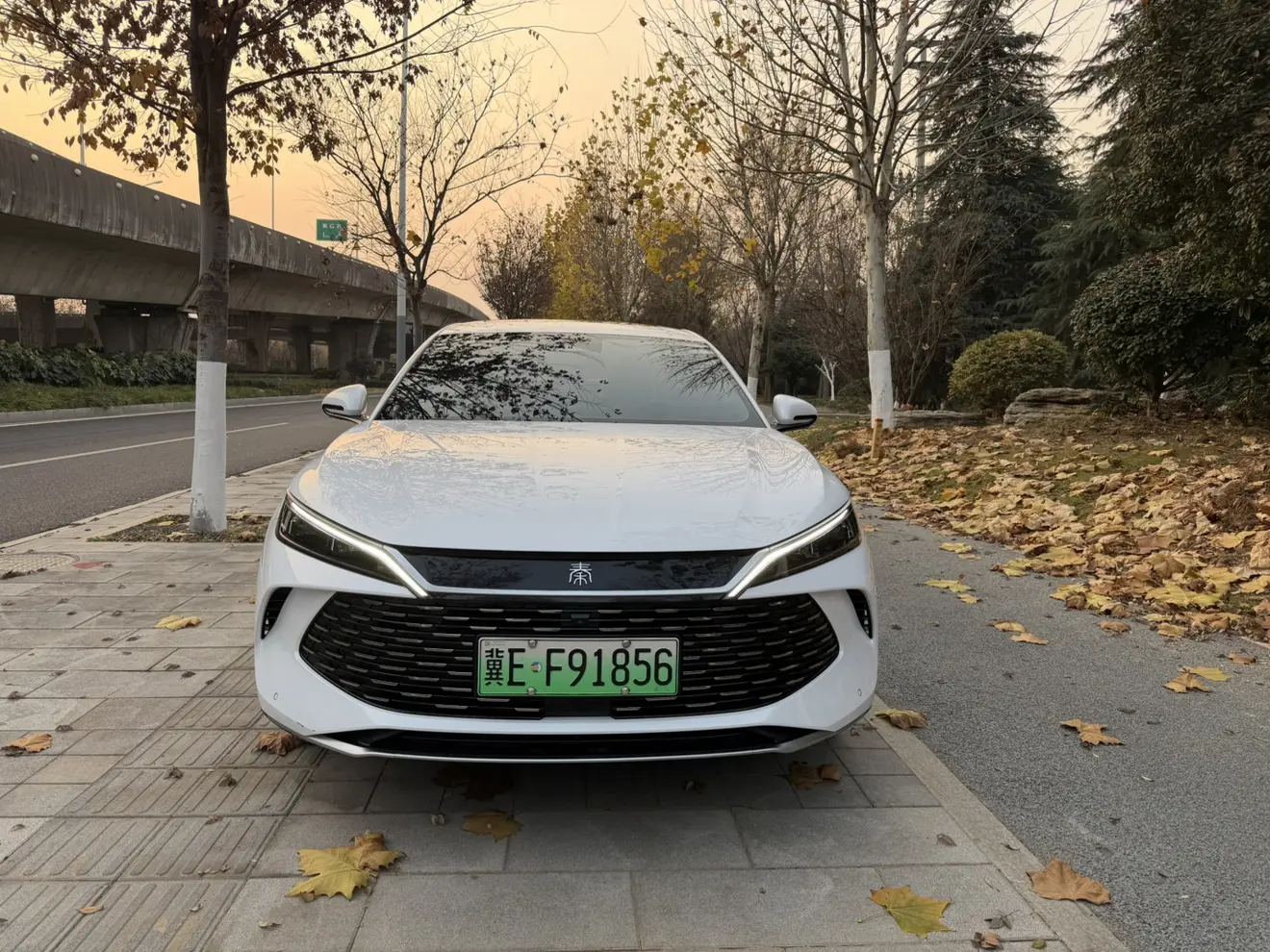 BYD Qin L DM