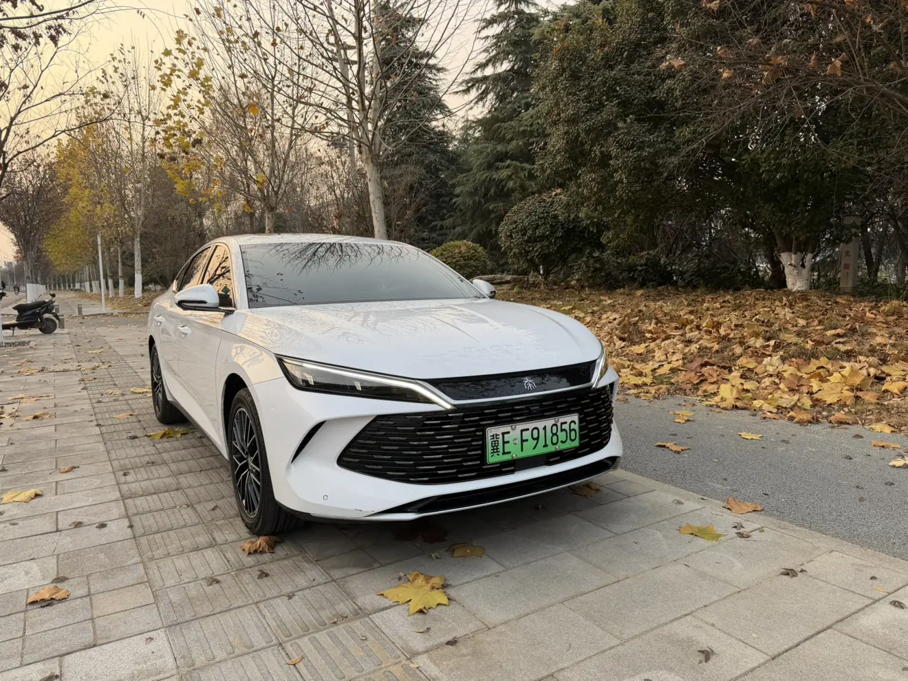 BYD Qin L DM