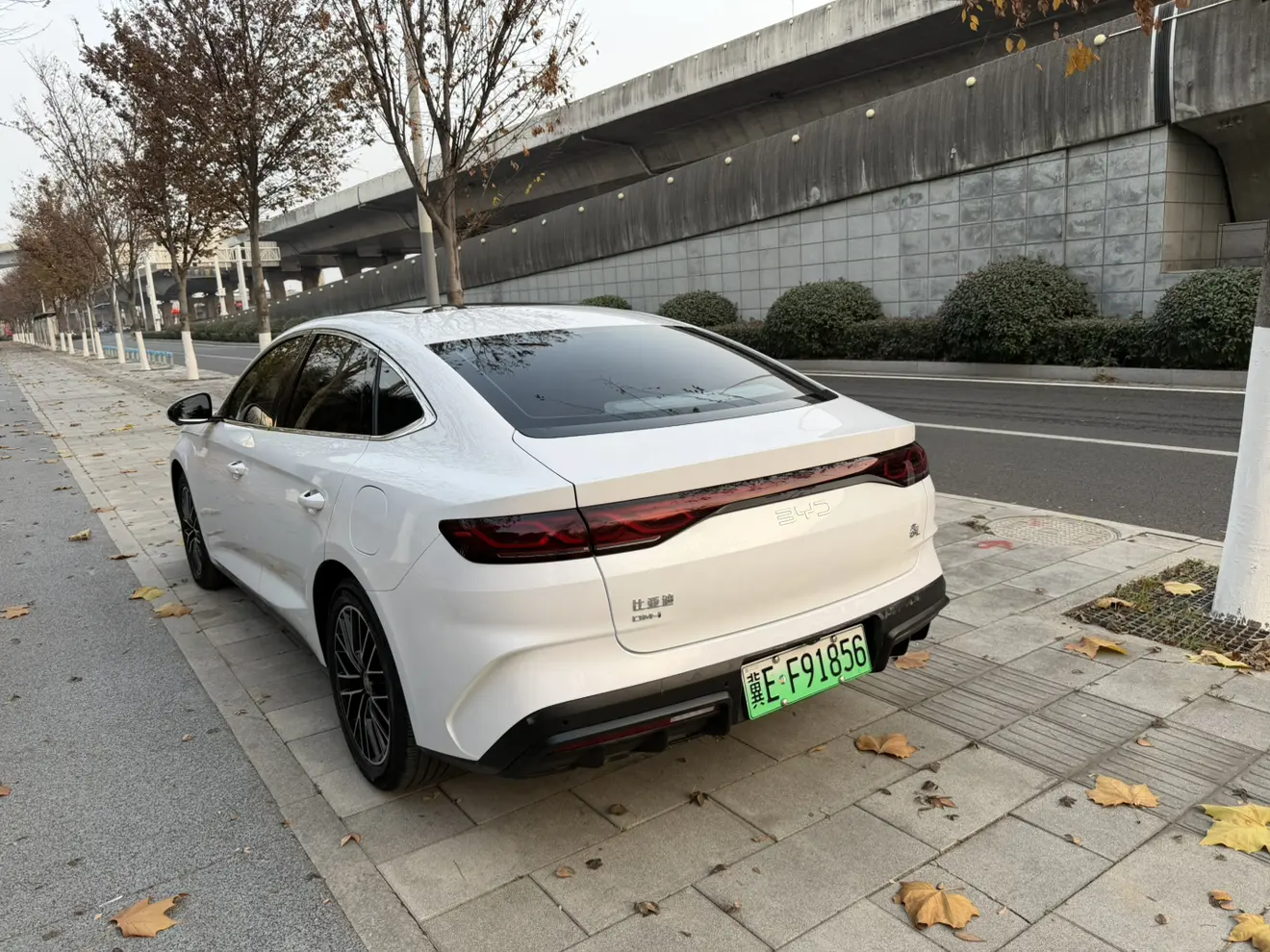 BYD Qin L DM