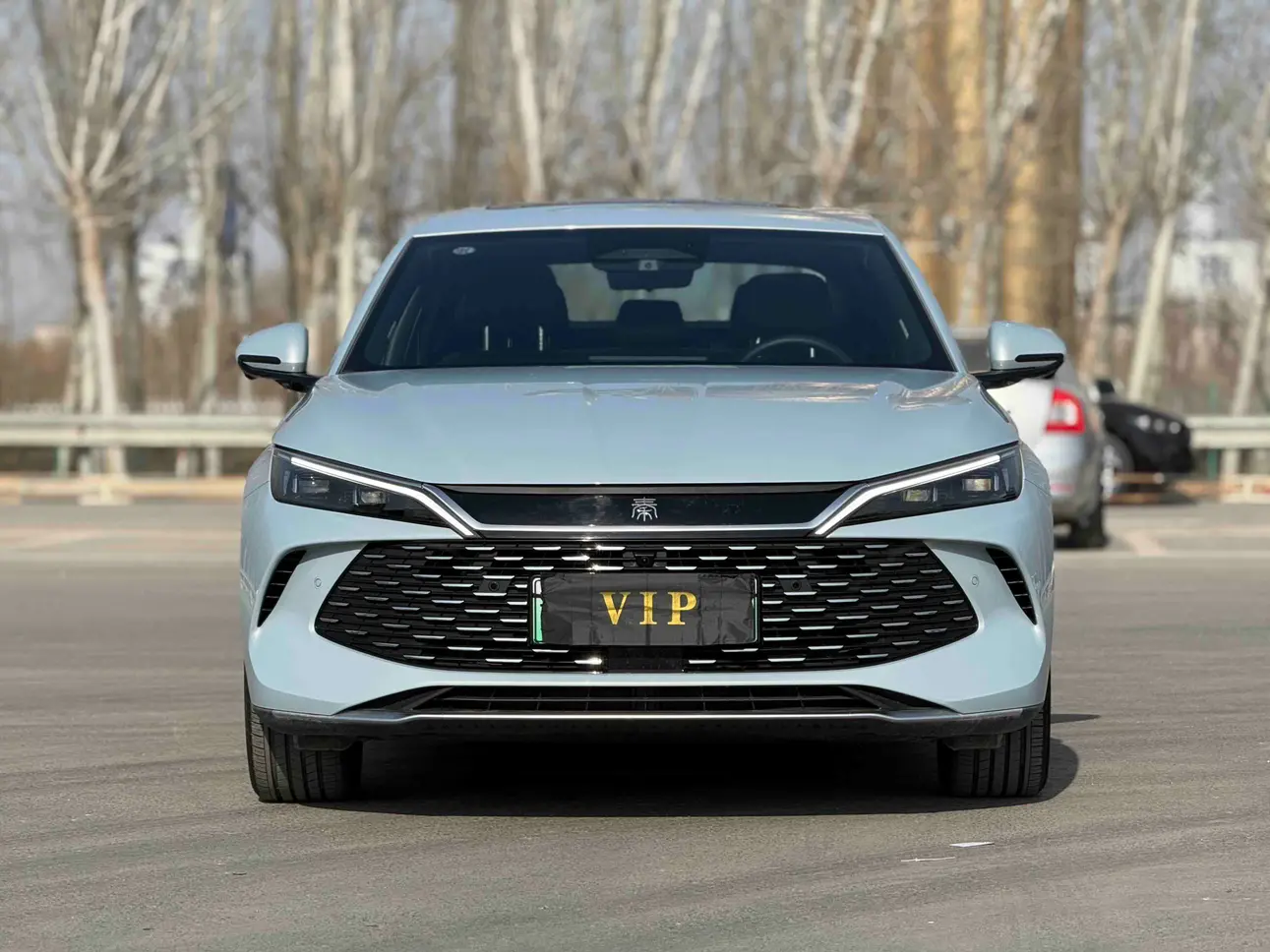 BYD Qin L DM