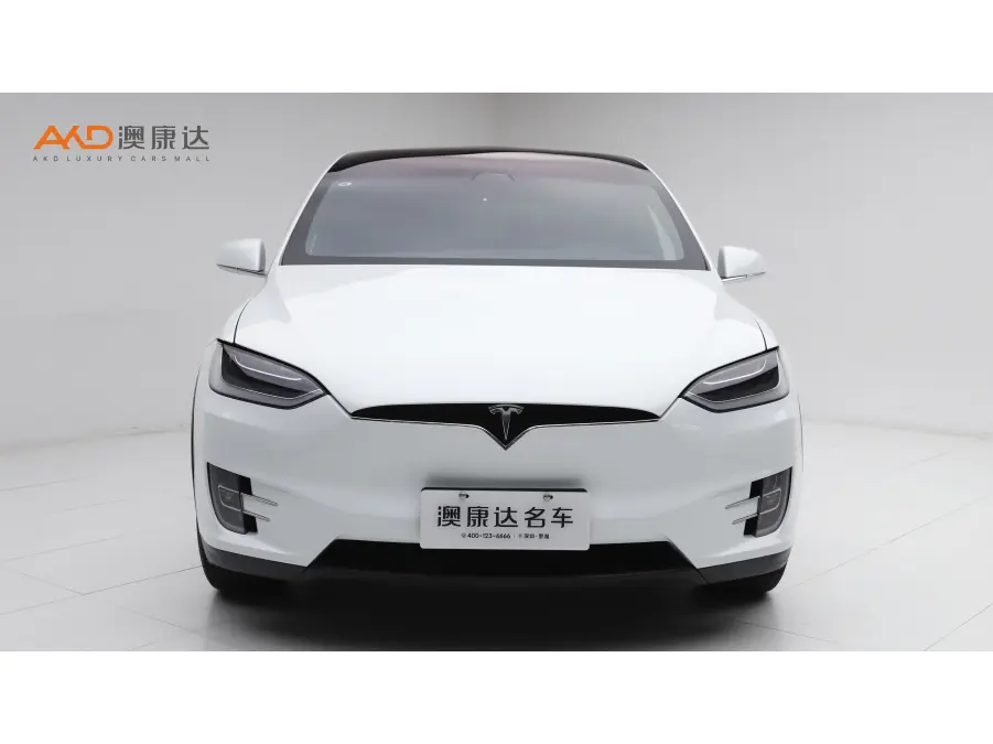 Tesla Model X  из Китая