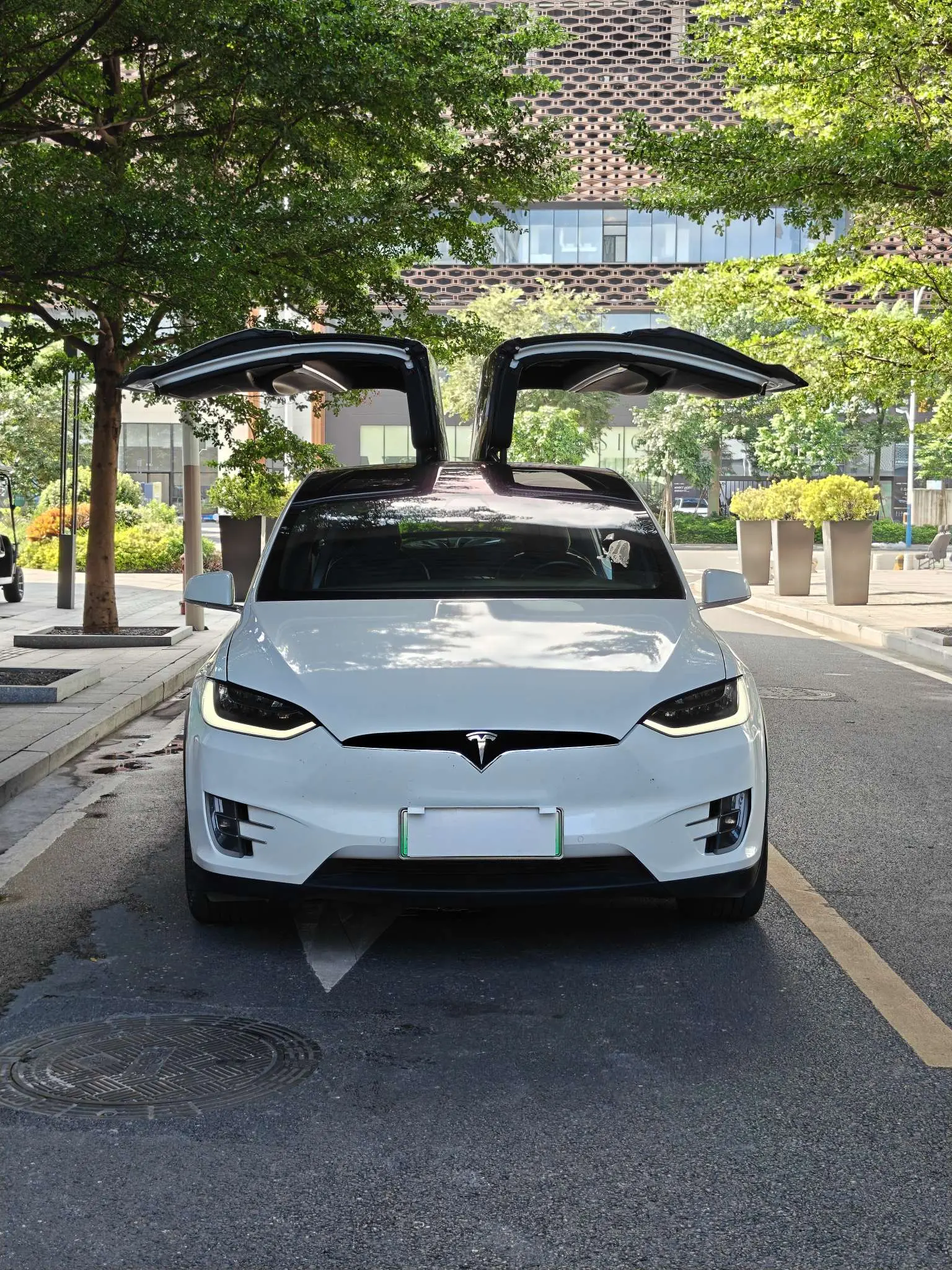 Tesla Model X  из Китая