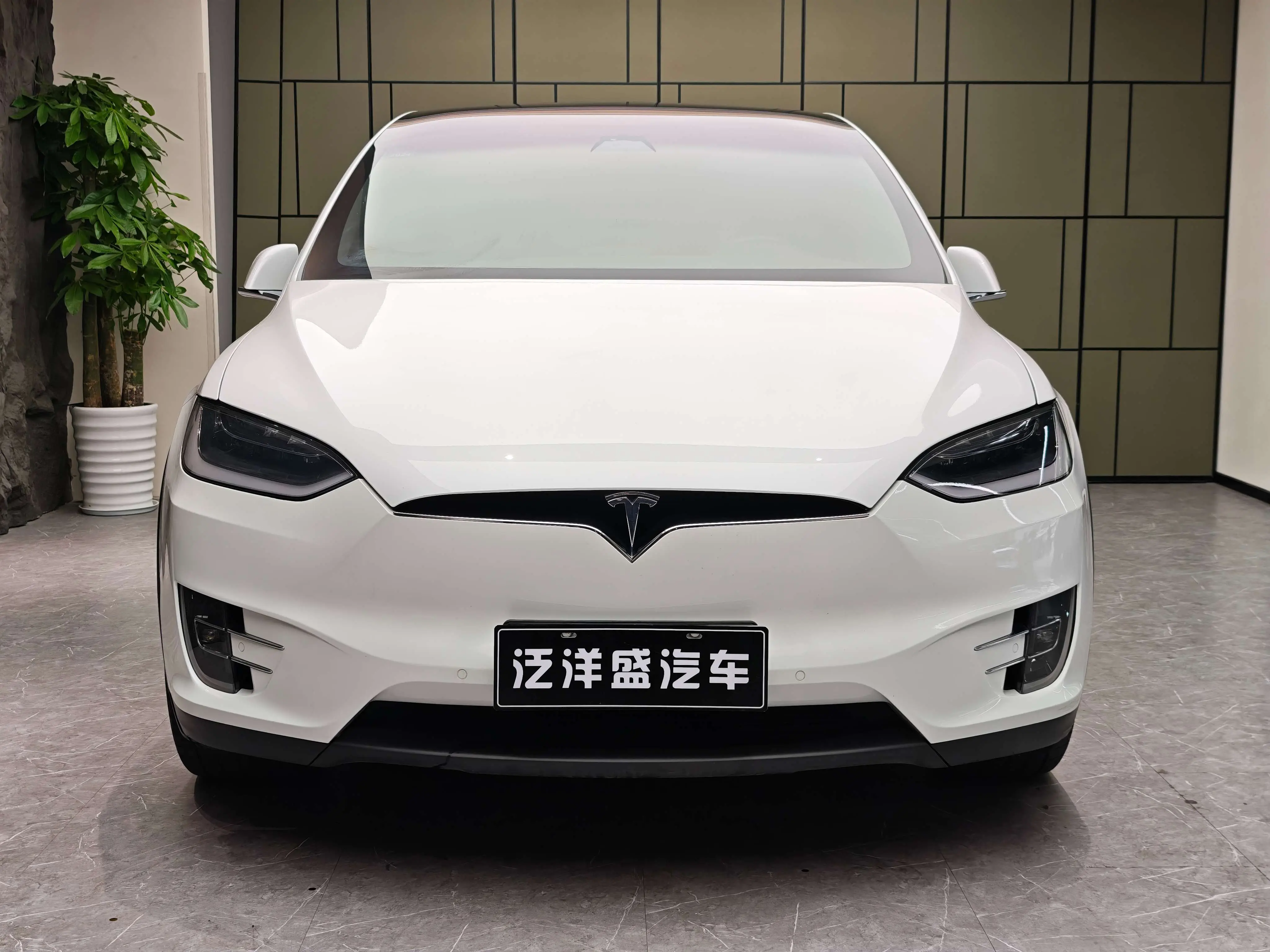 Tesla Model X  из Китая