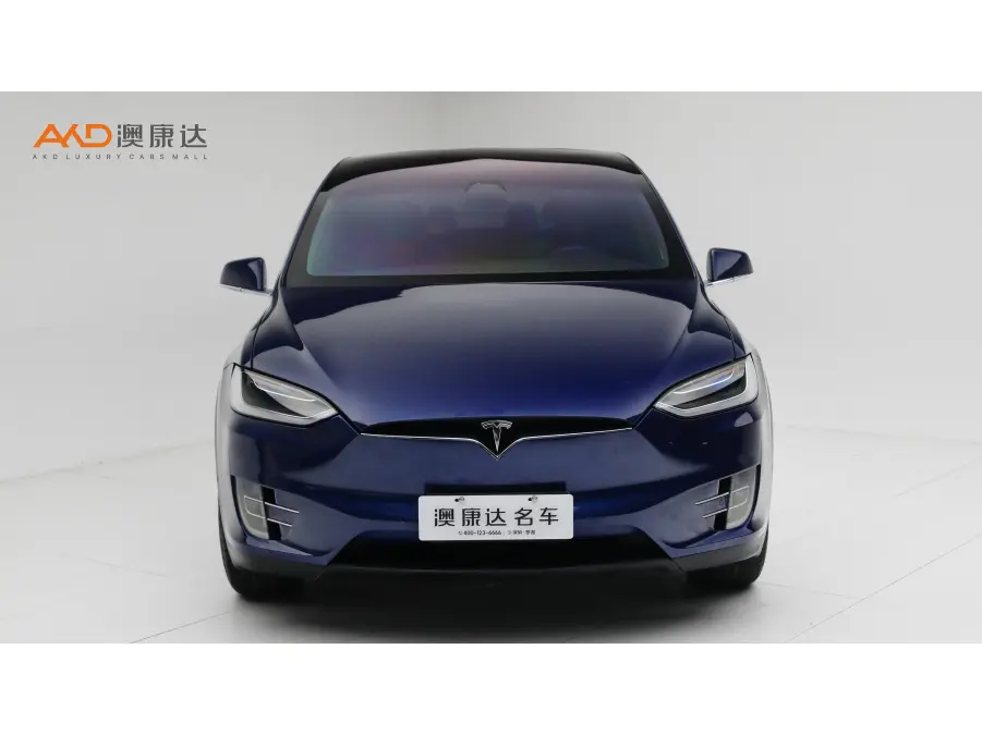 Tesla Model X  из Китая
