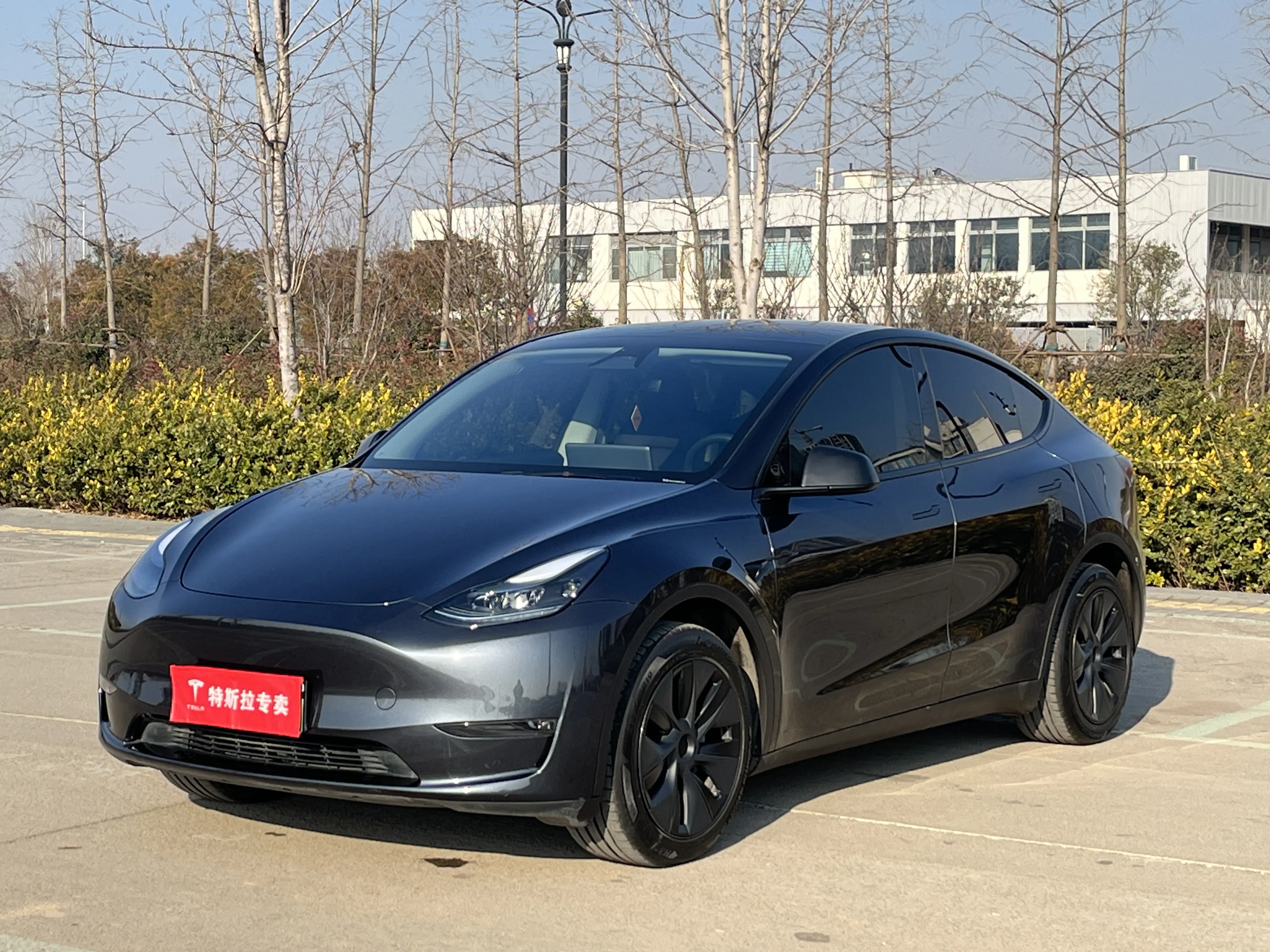 Tesla Model Y  из Китая