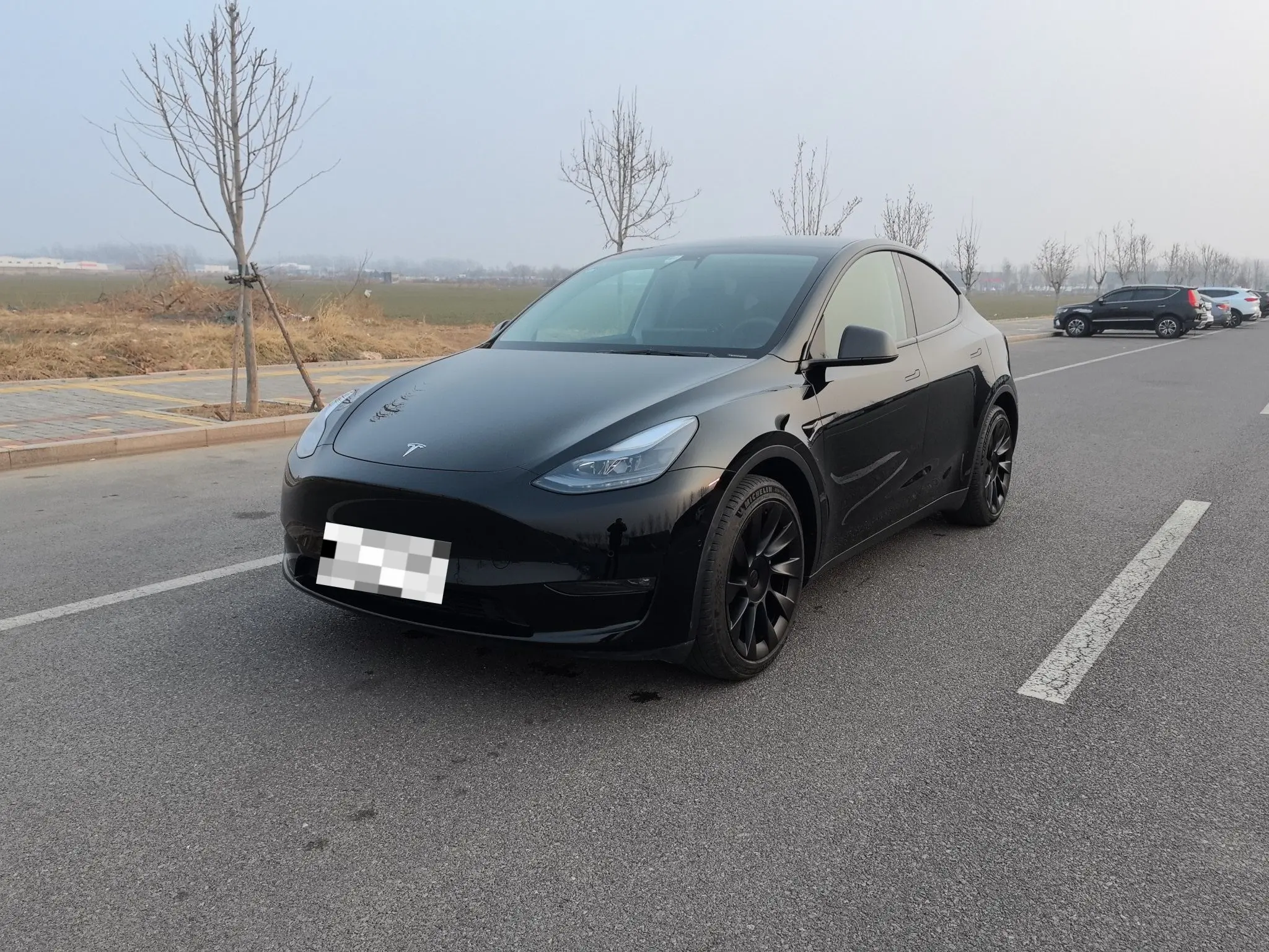 Tesla Model Y  из Китая