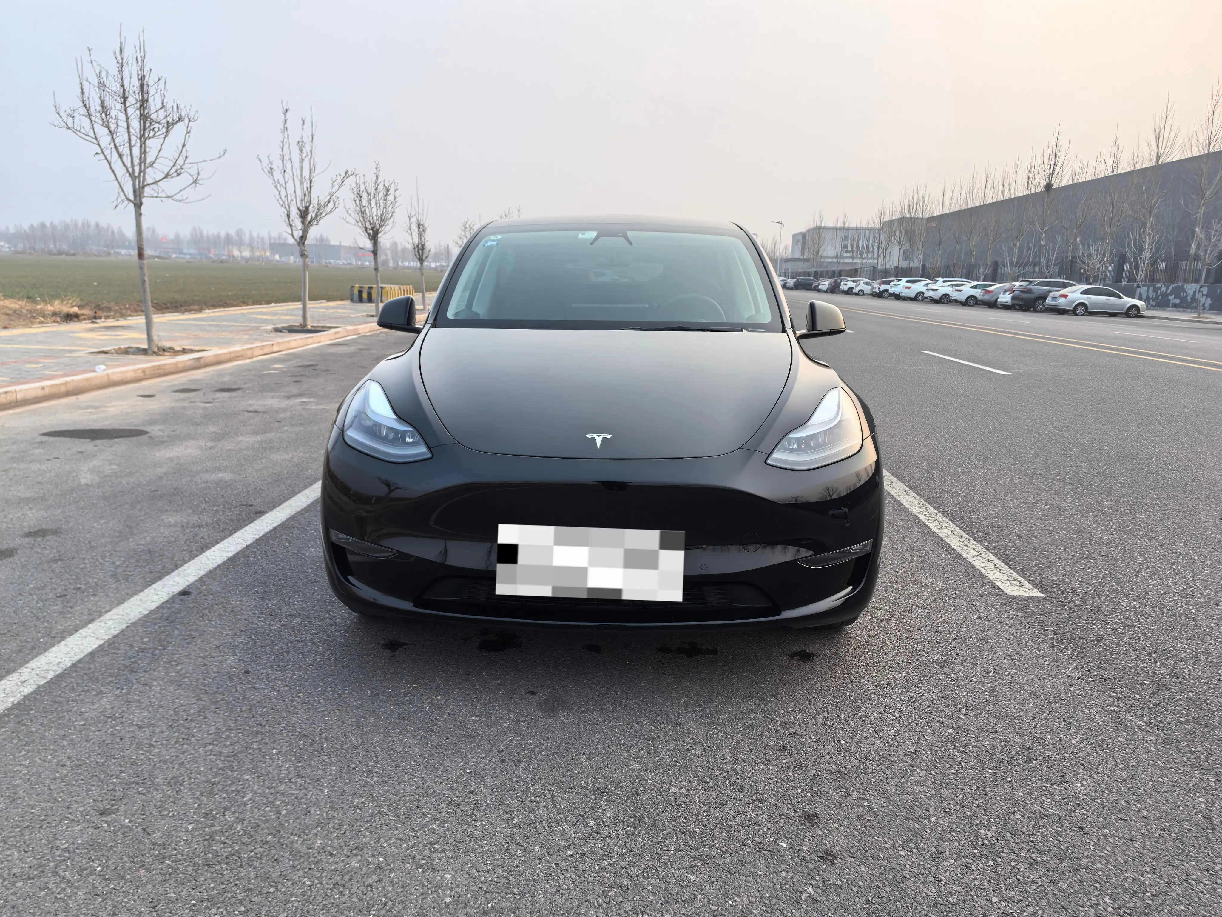 Tesla Model Y  из Китая