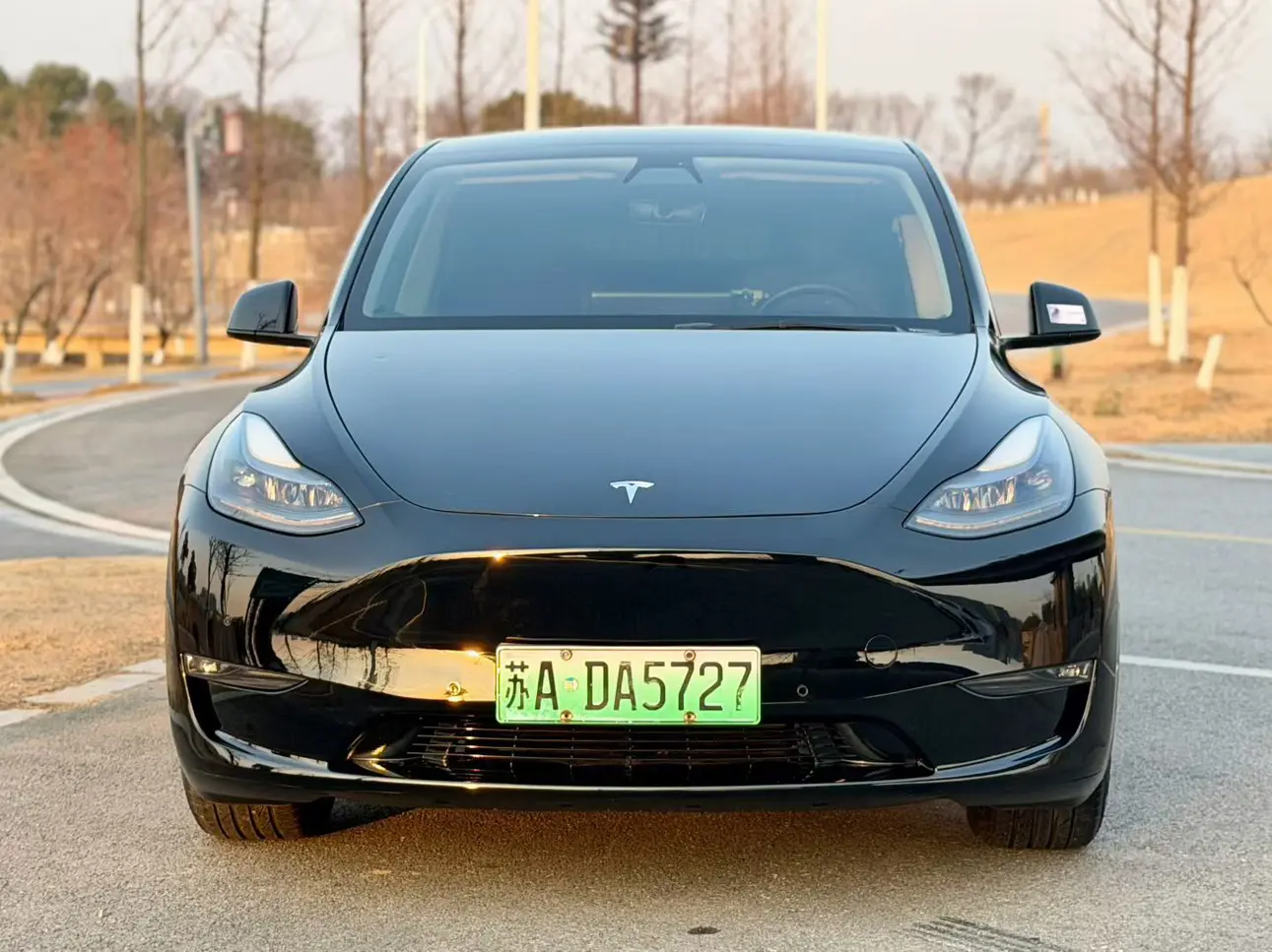 Tesla Model Y  из Китая