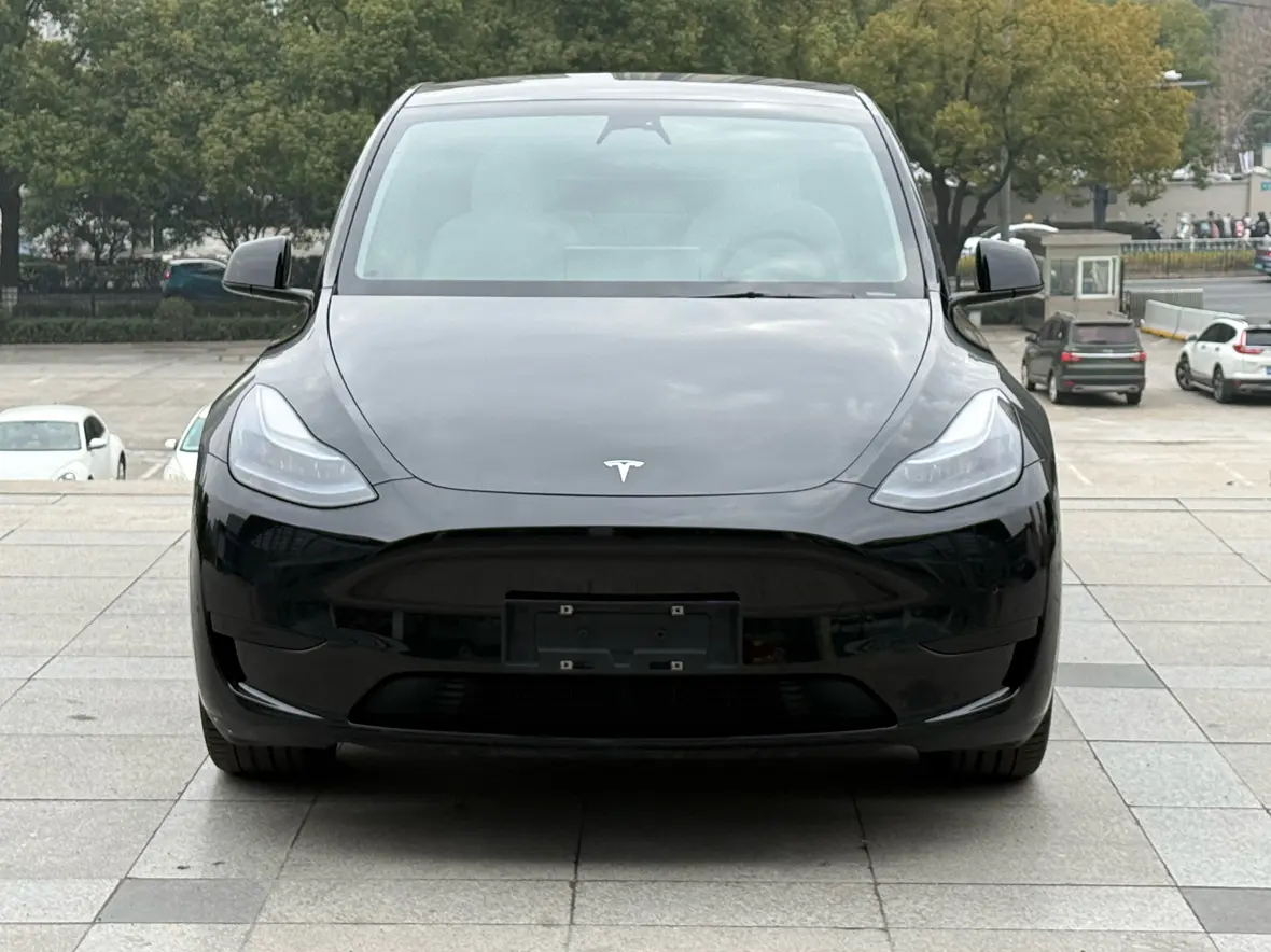 Tesla Model Y  из Китая