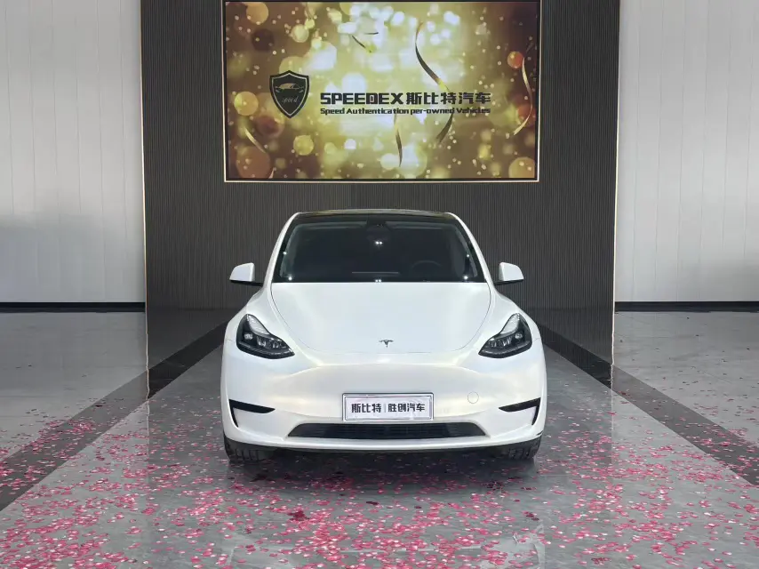 Tesla Model Y  из Китая