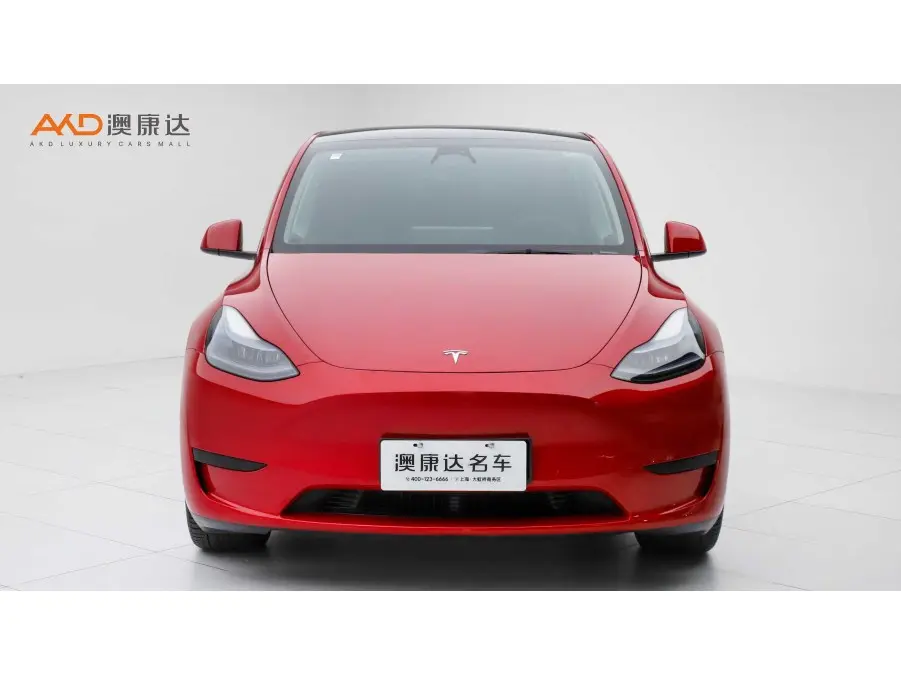 Tesla Model Y  из Китая