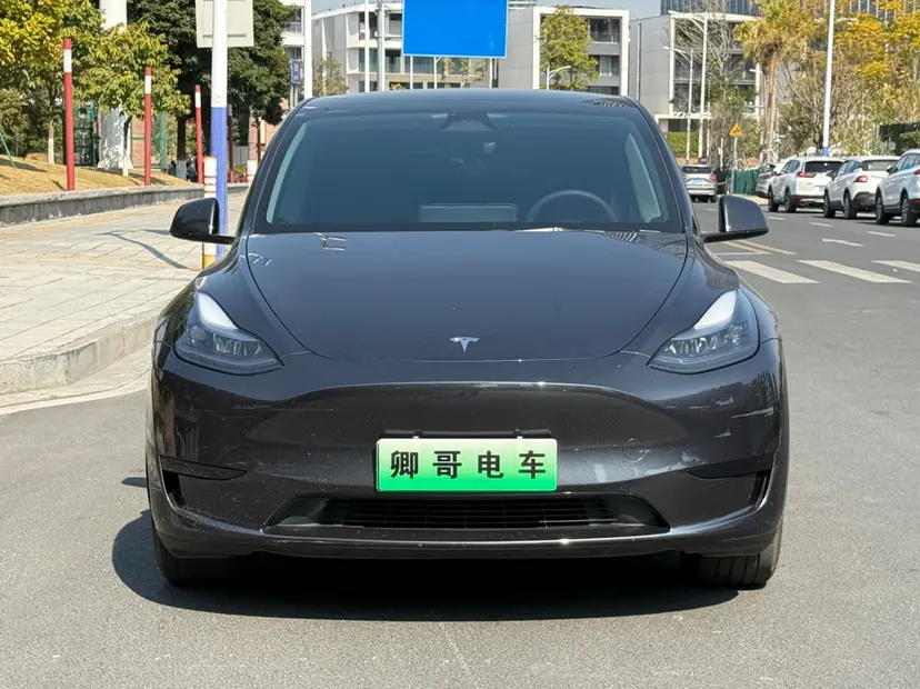 Tesla Model Y  из Китая