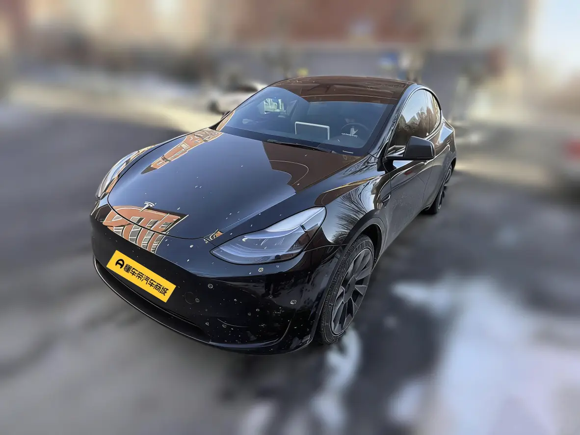 Tesla Model Y  из Китая