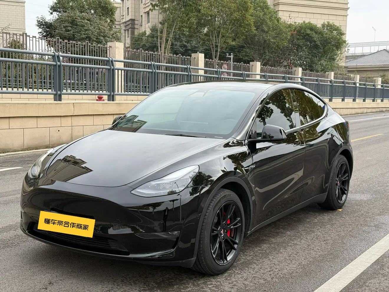 Tesla Model Y  из Китая