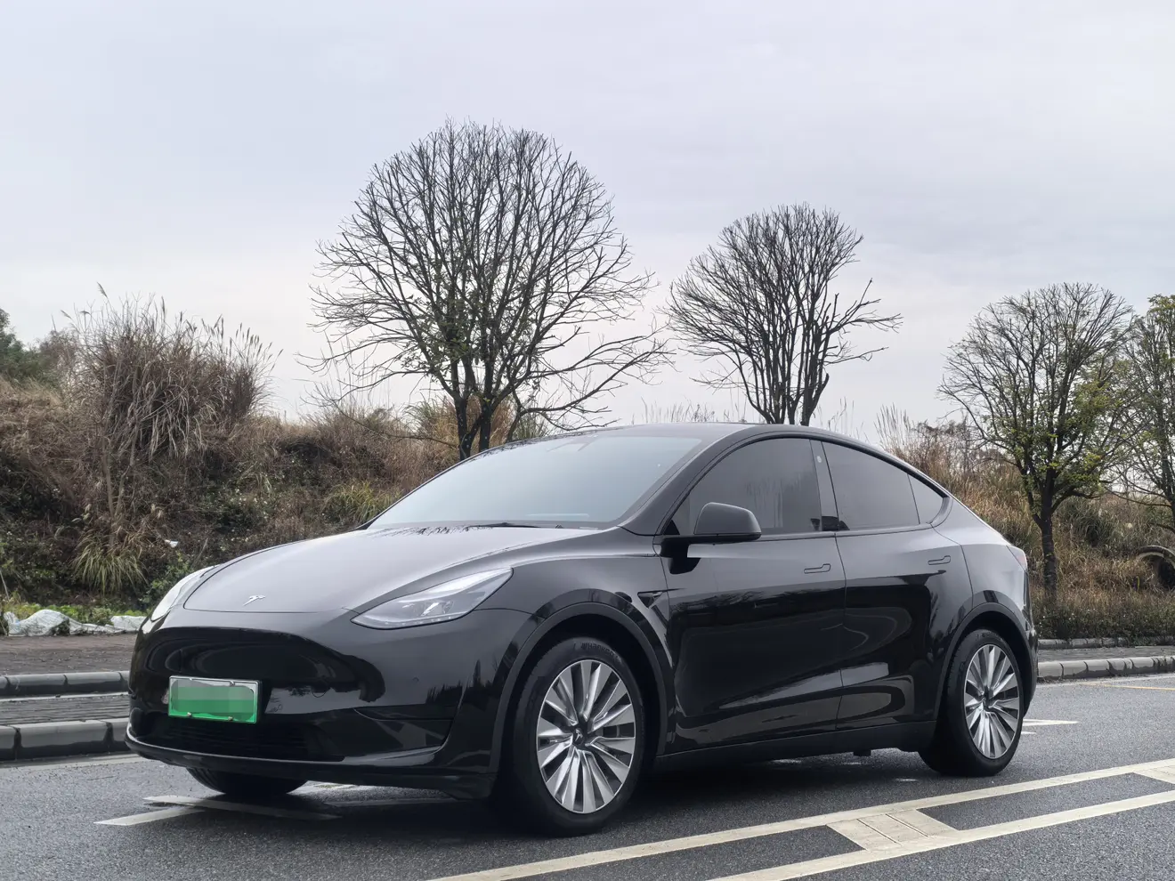 Tesla Model Y  из Китая