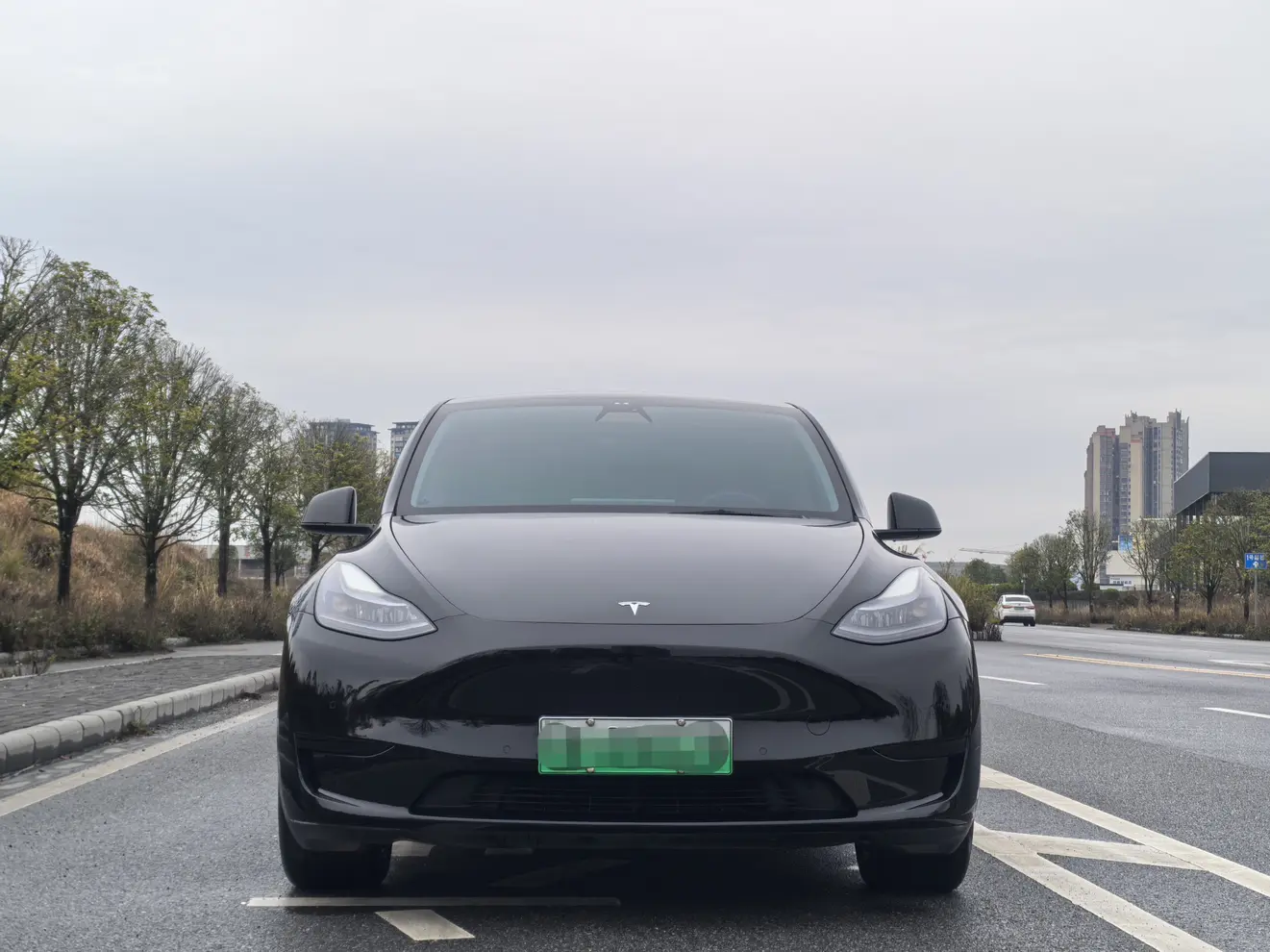 Tesla Model Y  из Китая