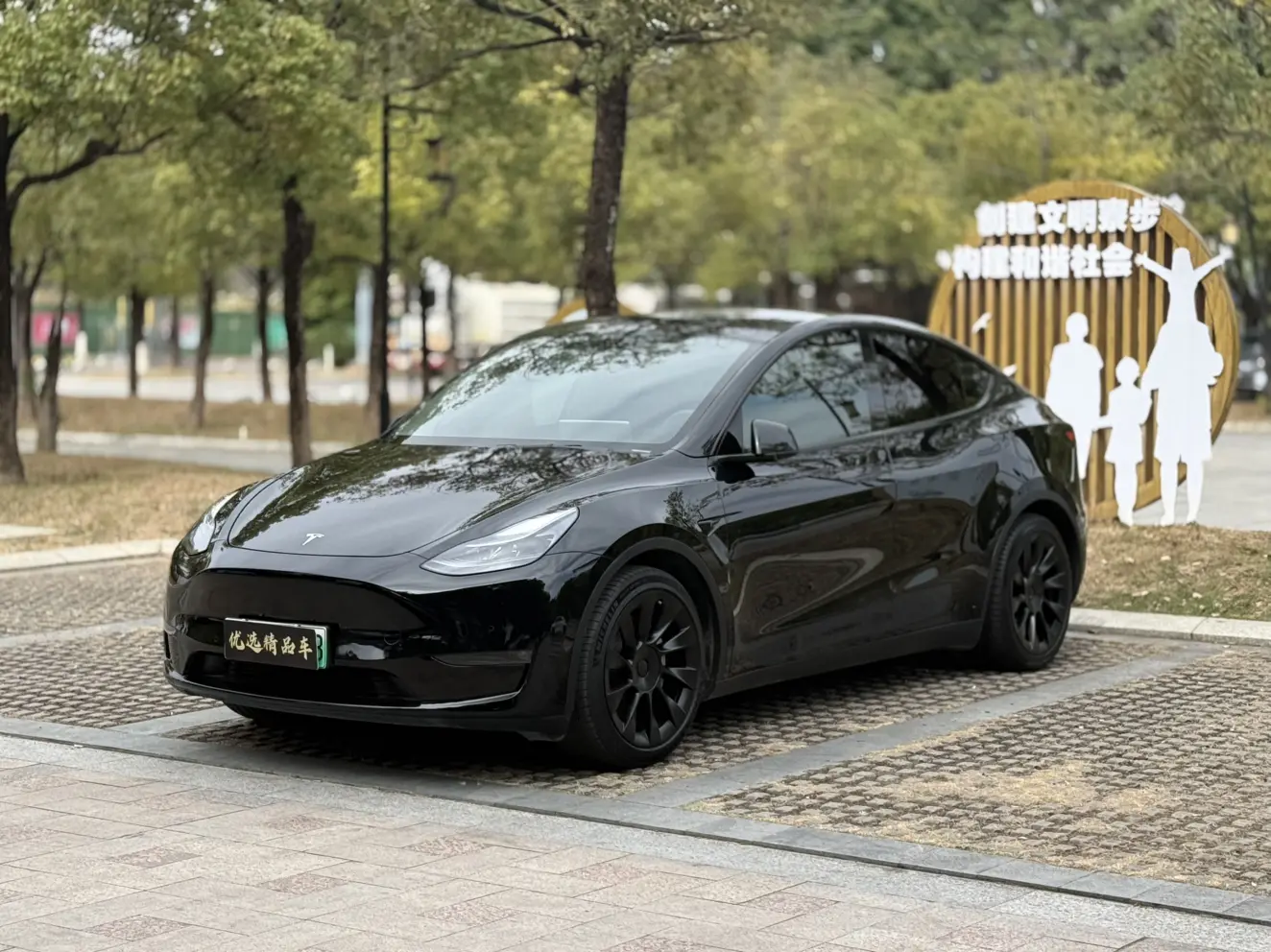 Tesla Model Y  из Китая