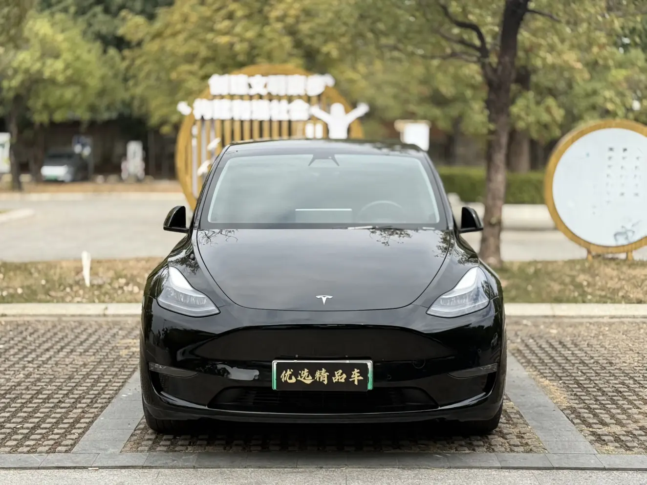 Tesla Model Y  из Китая
