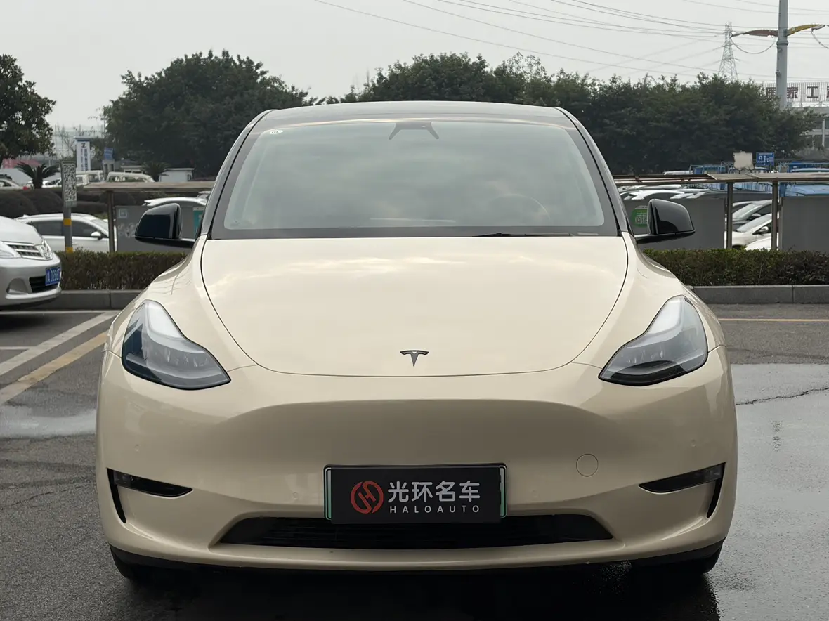 Tesla Model Y  из Китая