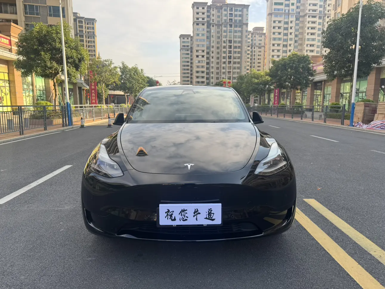 Tesla Model Y  из Китая