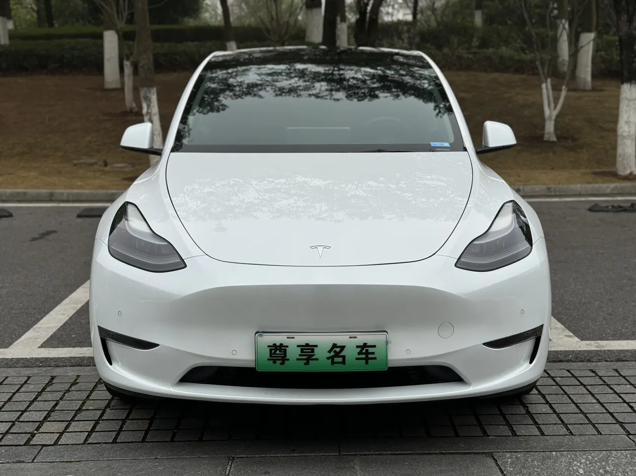 Tesla Model Y  из Китая