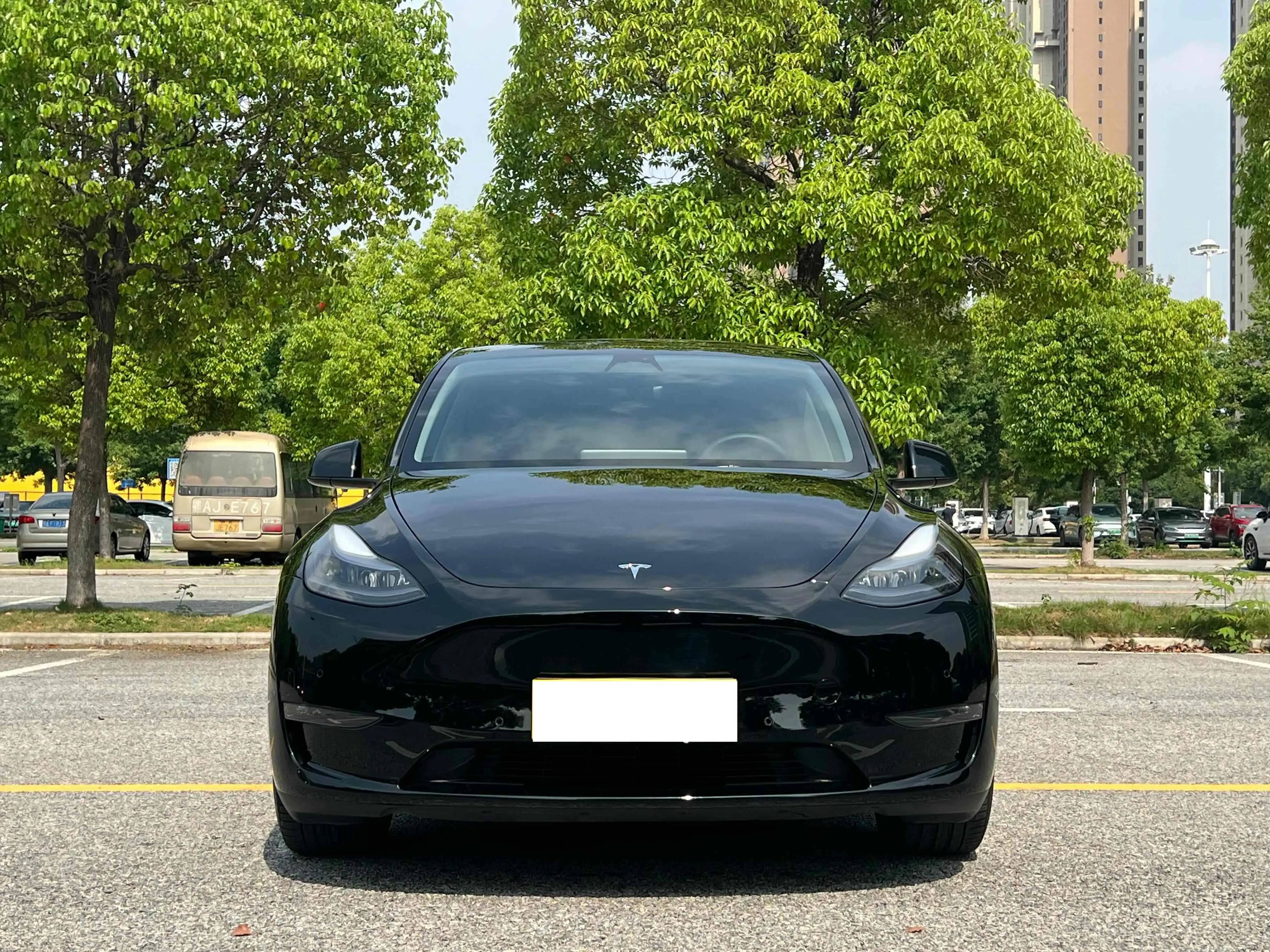 Tesla Model Y  из Китая
