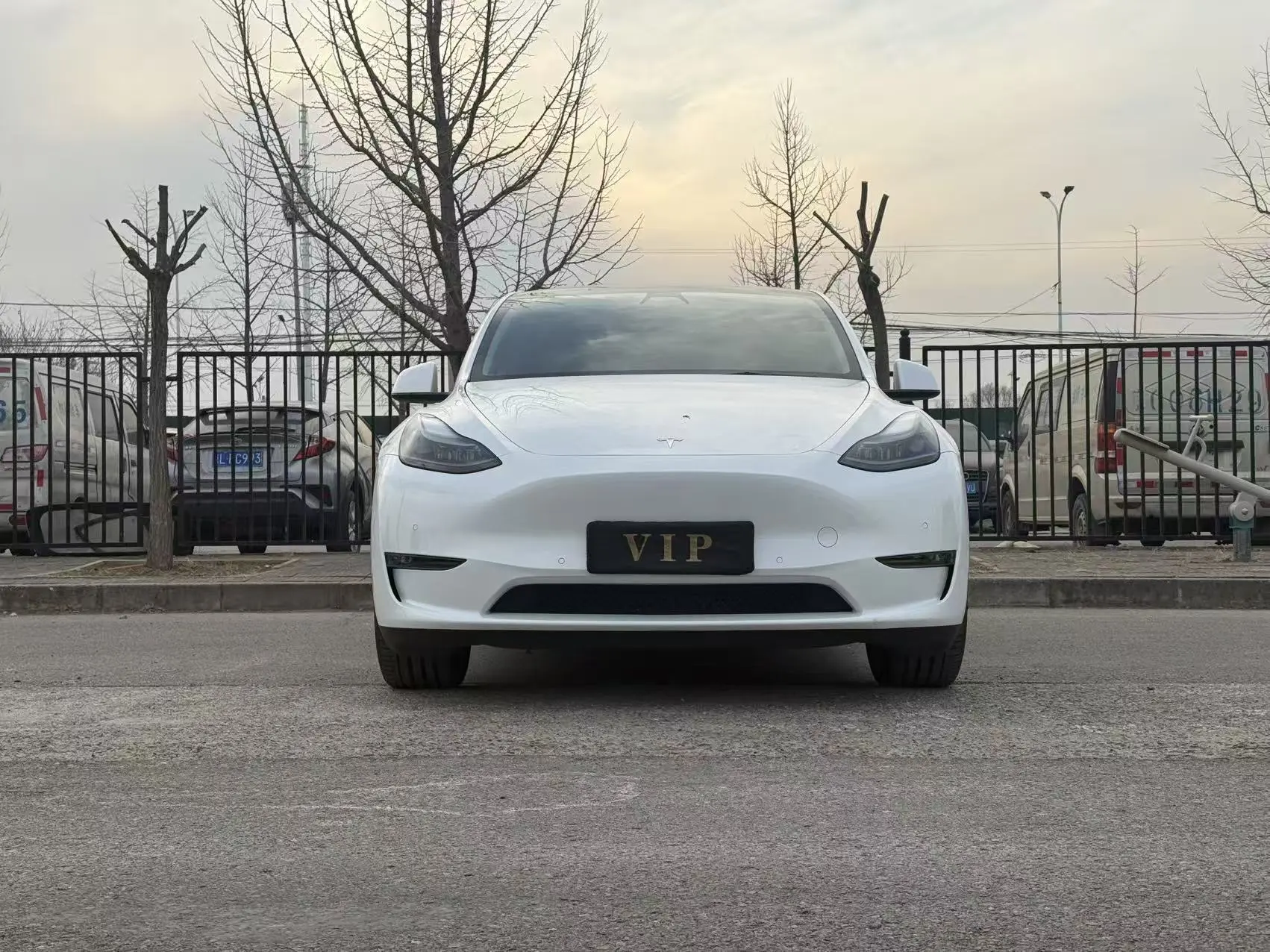 Tesla Model Y  из Китая