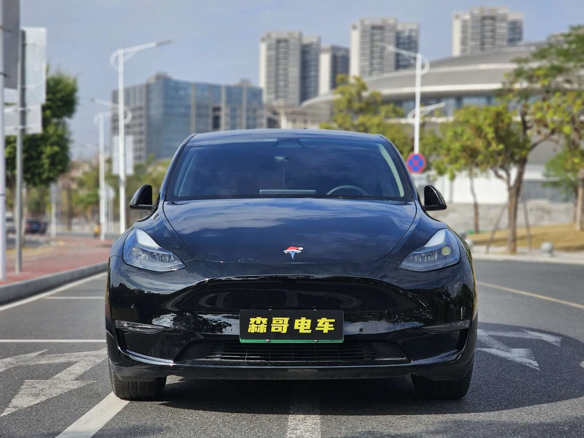 Tesla Model Y  из Китая